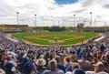 Cactus League Highlights Photograph