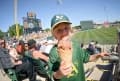 Cactus League Highlights Photograph